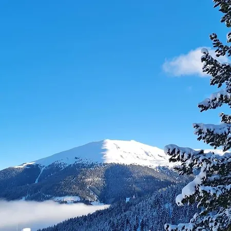 Feriehus Idyllische Zirbenholz Alpin Huette Turracher Hohe