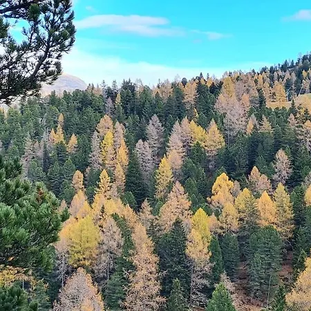 Idyllische Zirbenholz Alpin Huette Feriehus *
